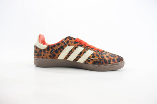 Samba OG - Imagem 5