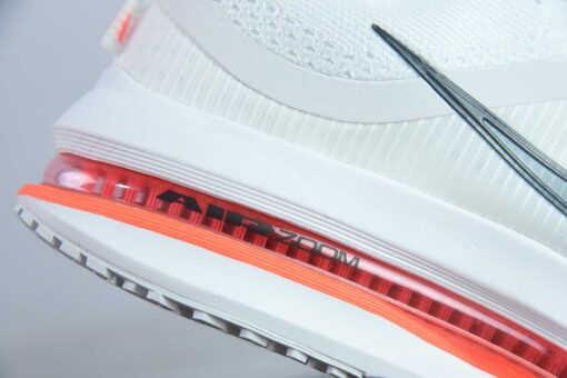 Nike Pegasus Premium-Imagem 9
