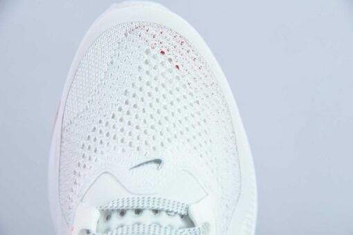 Nike Pegasus Premium-Imagem 6